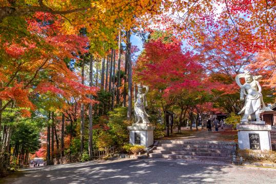 呑山観音寺 鉾立山天王院の紅葉-0