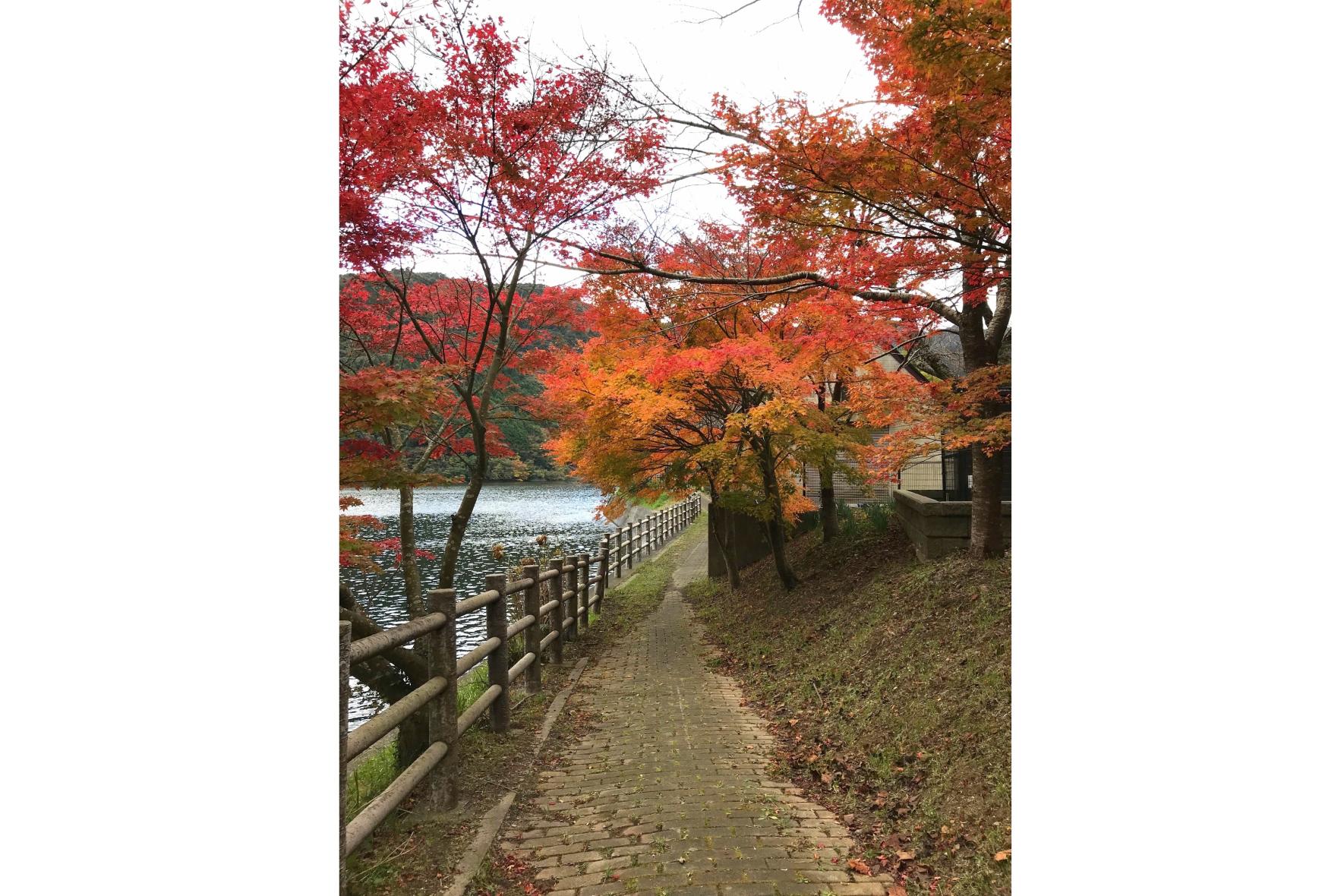 河内貯水池-3