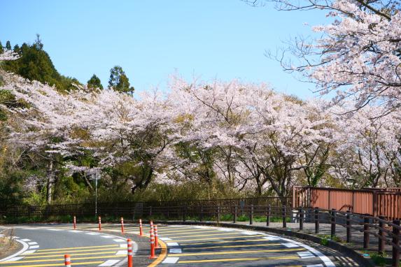 The Autumn Views of the Kawachi Reservoir-2