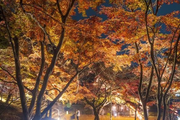 宝満宮竈門神社の紅葉-6