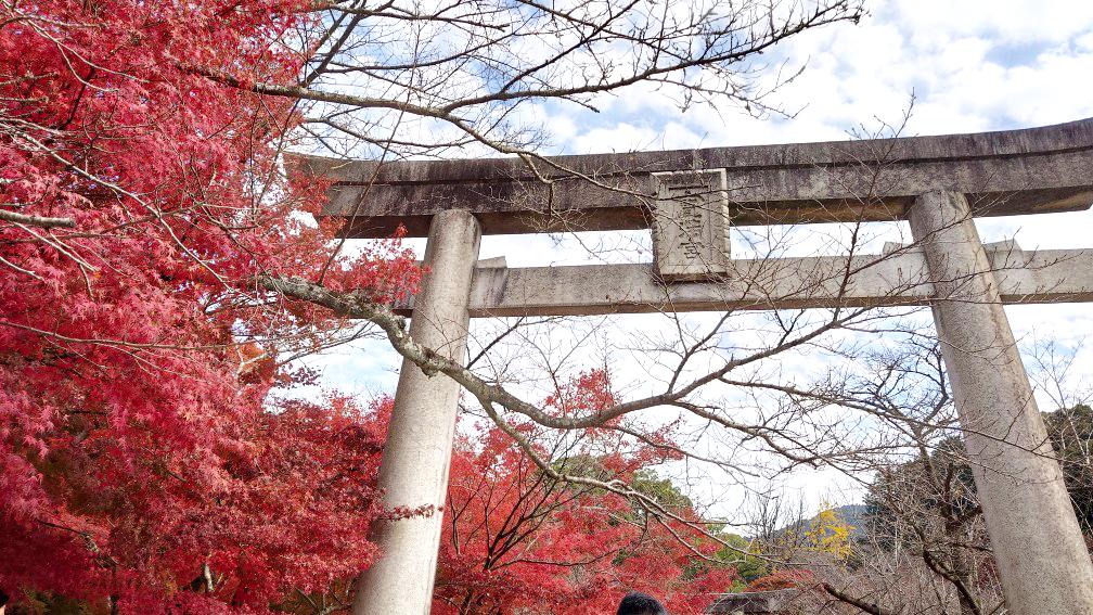 宝満宮竈門神社の紅葉-3