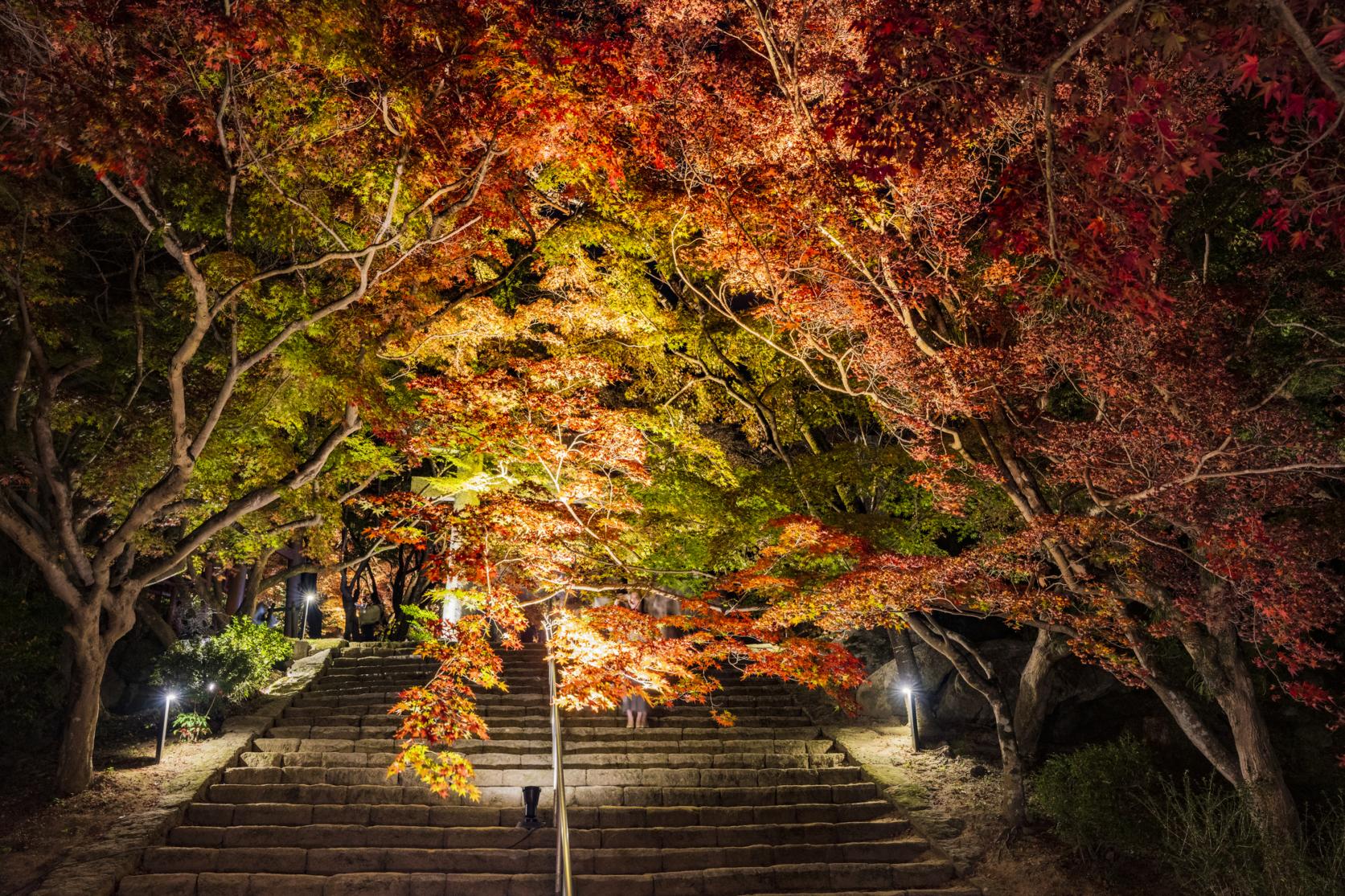 宝満宮竈門神社の紅葉-7