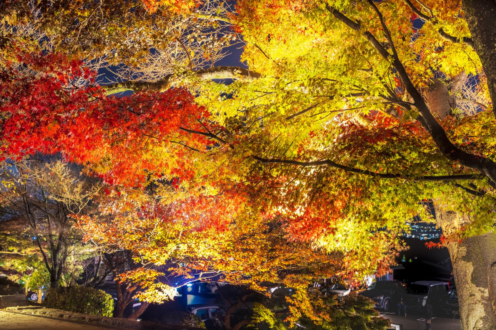 宝満宮竈門神社の紅葉-9