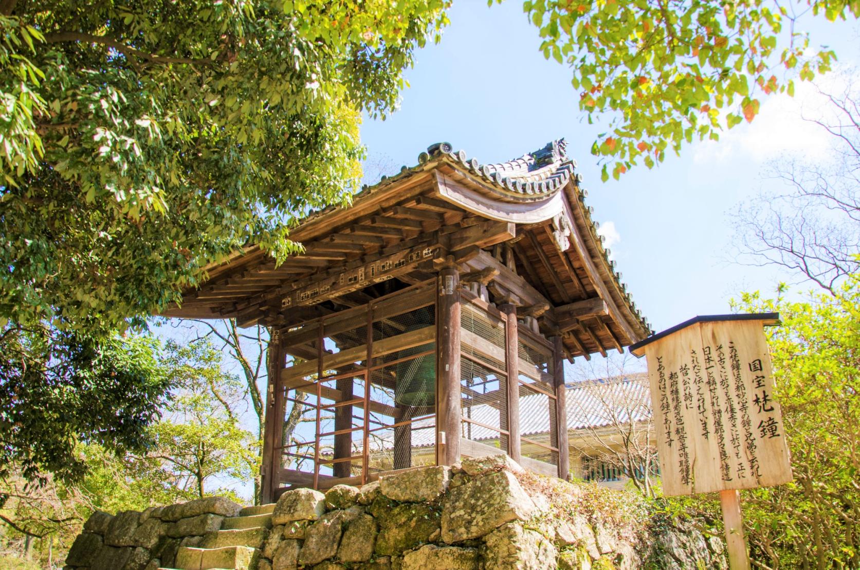 The Cosmos Field of Kanzeonji Temple-4