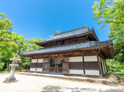 The Cosmos Field of Kanzeonji Temple-2