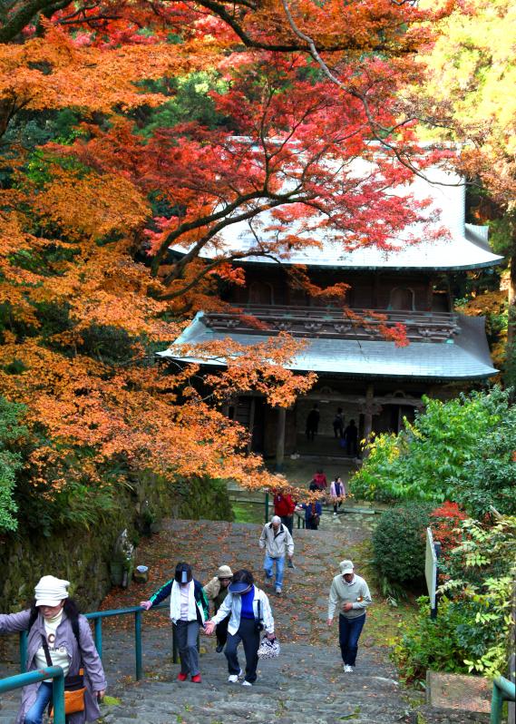 清水山もみじ狩り-1