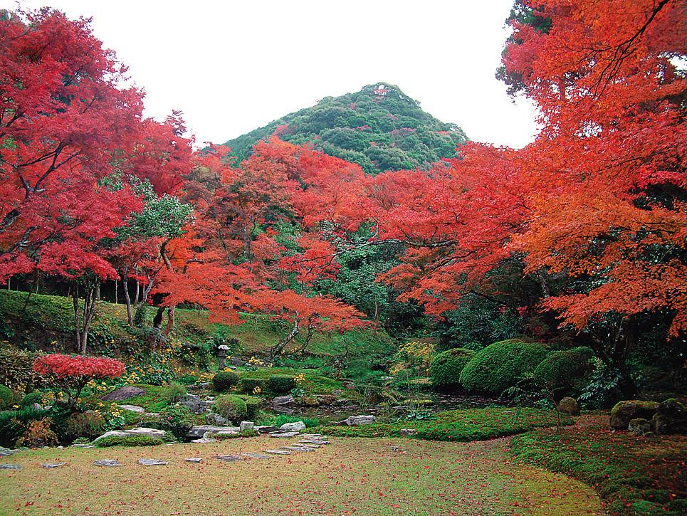 清水山もみじ狩り