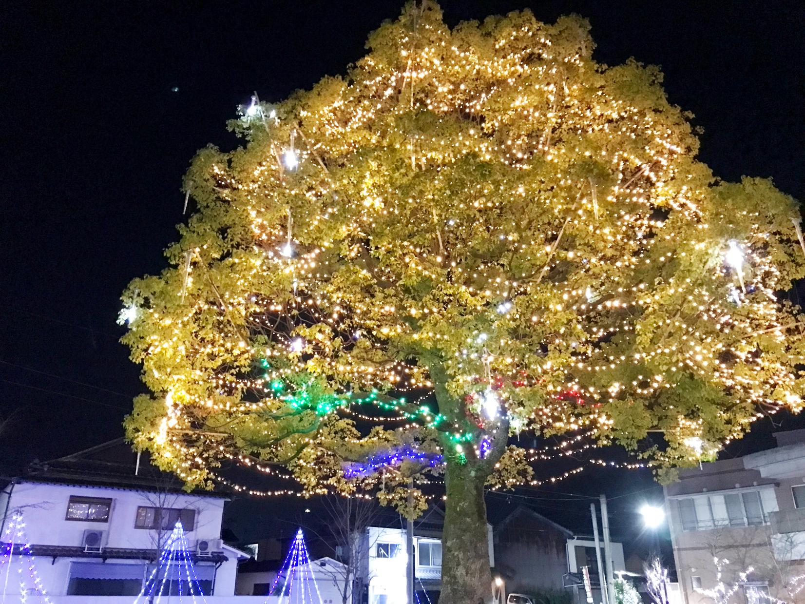 甘木中央公園イルミネーション-1