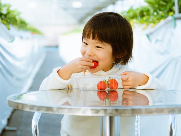 いちご狩り（久留米市）-1