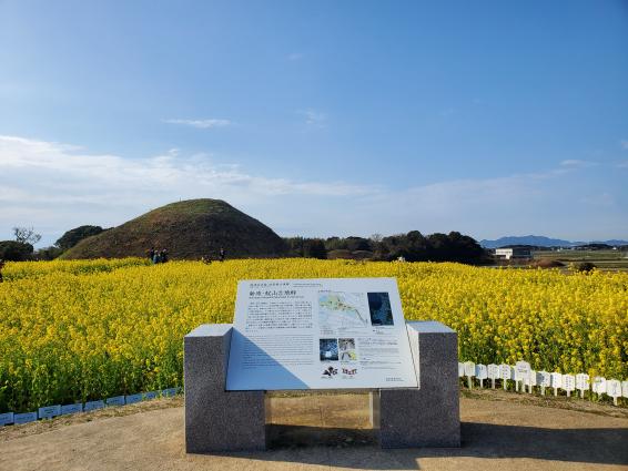 ふくつの古墳まつり-2