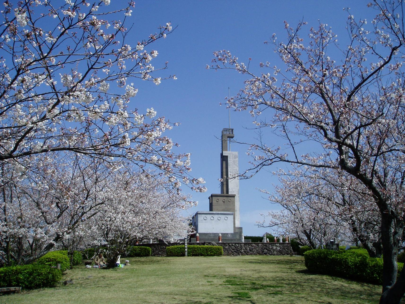 大峰山自然公園の桜