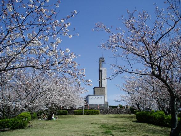 大峰山自然公園の桜-0