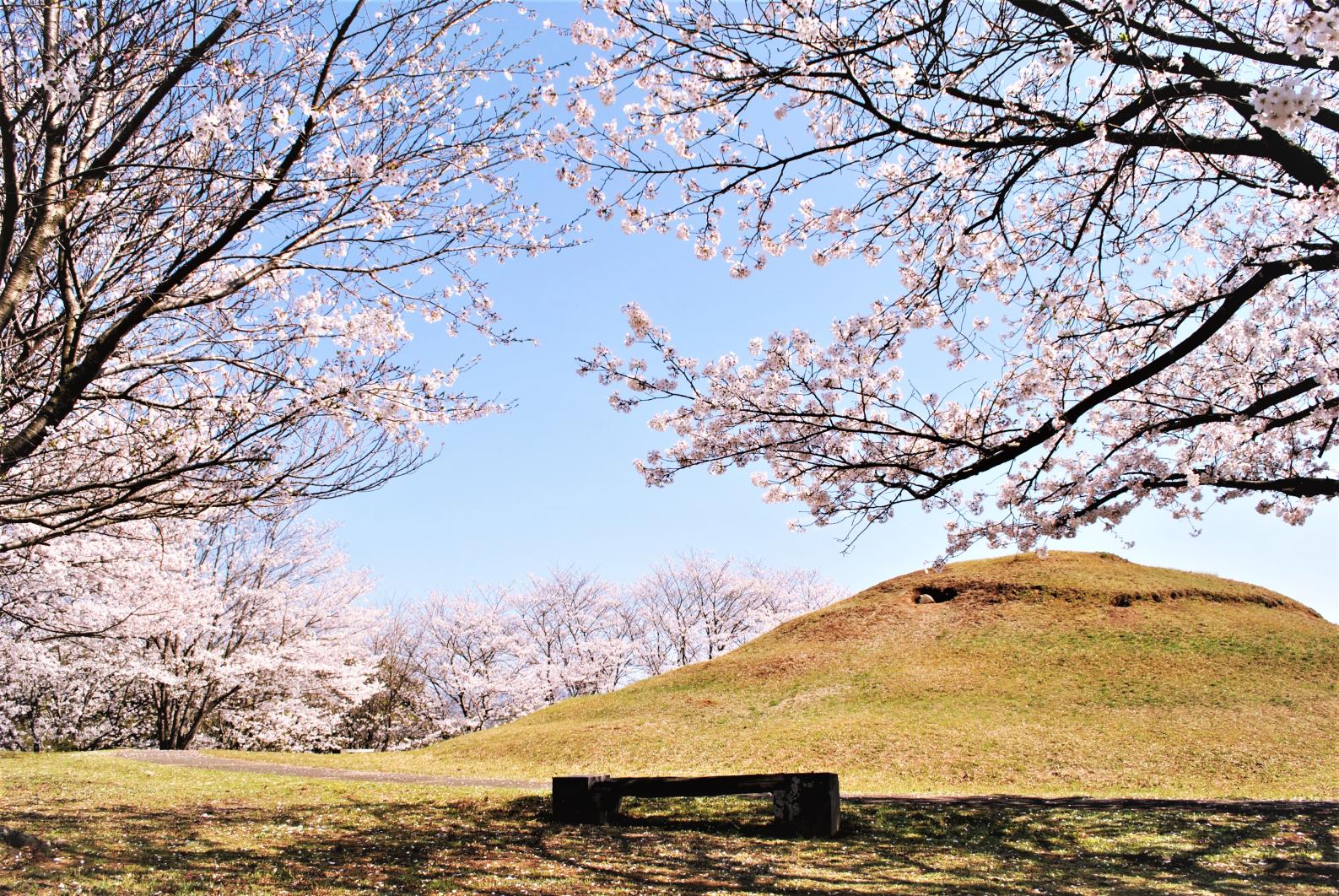 丸山塚古墳