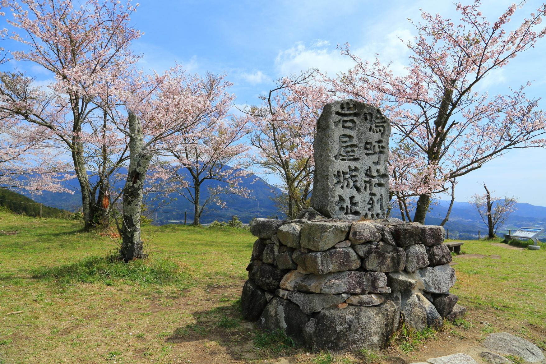 四王寺林道・岩屋城跡の桜-1