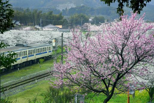JR採銅所駅-2