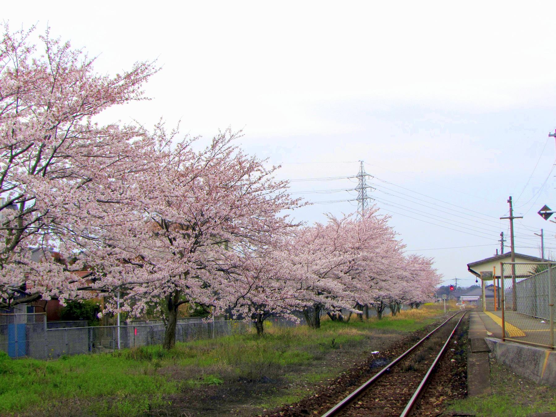 JR香春駅-1