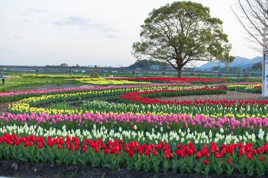 直方リバーサイドパーク（遠賀川河川敷公園）-3