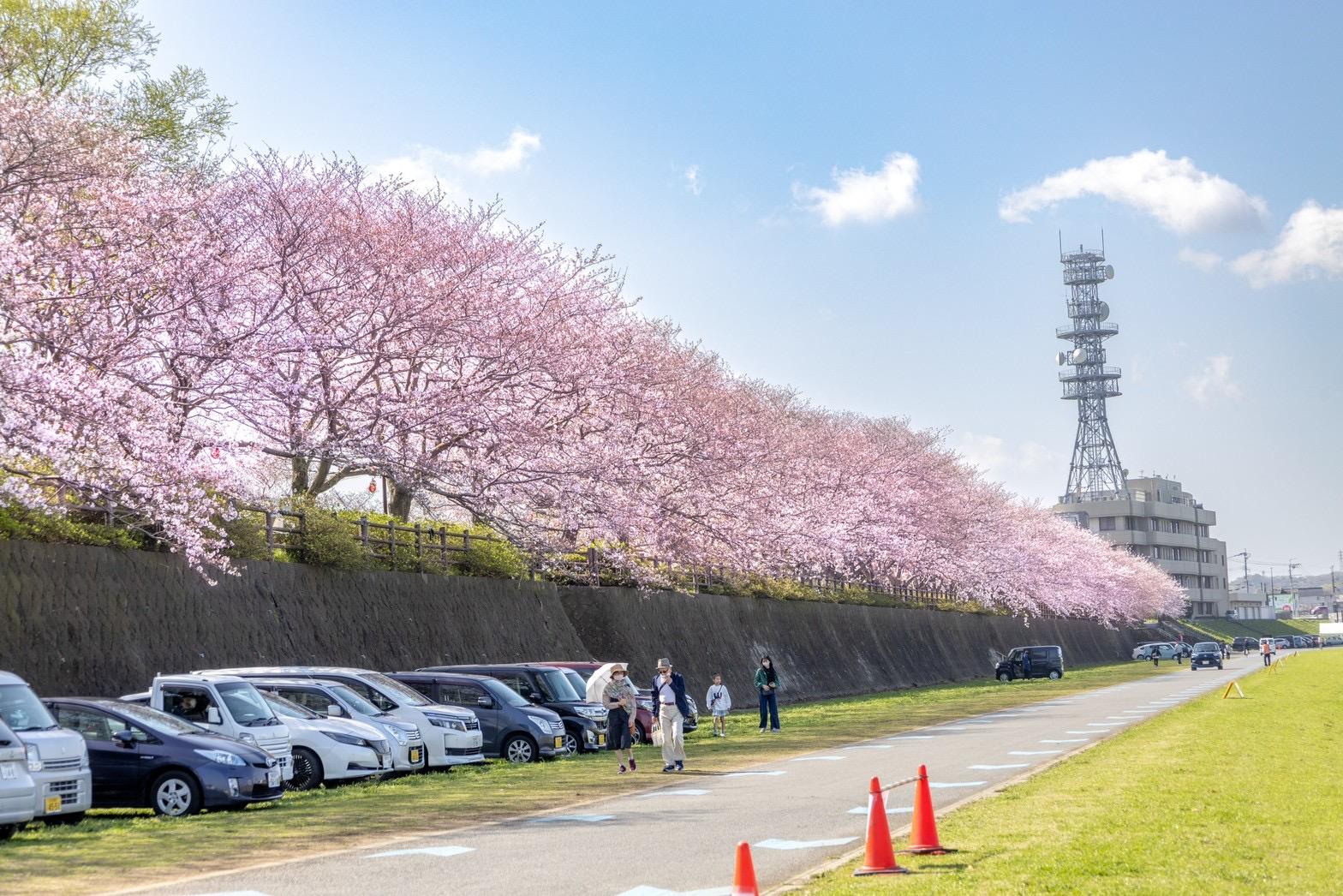 直方リバーサイドパーク（遠賀川河川敷公園）