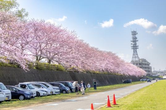 直方リバーサイドパーク（遠賀川河川敷公園）-0