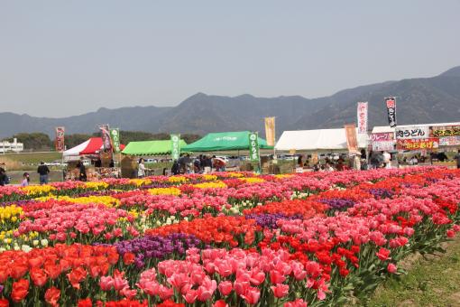 直方リバーサイドパーク（遠賀川河川敷公園）-5