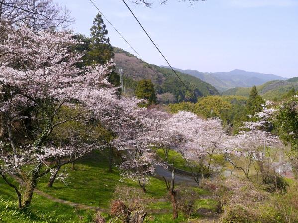 八木山展望公園-2