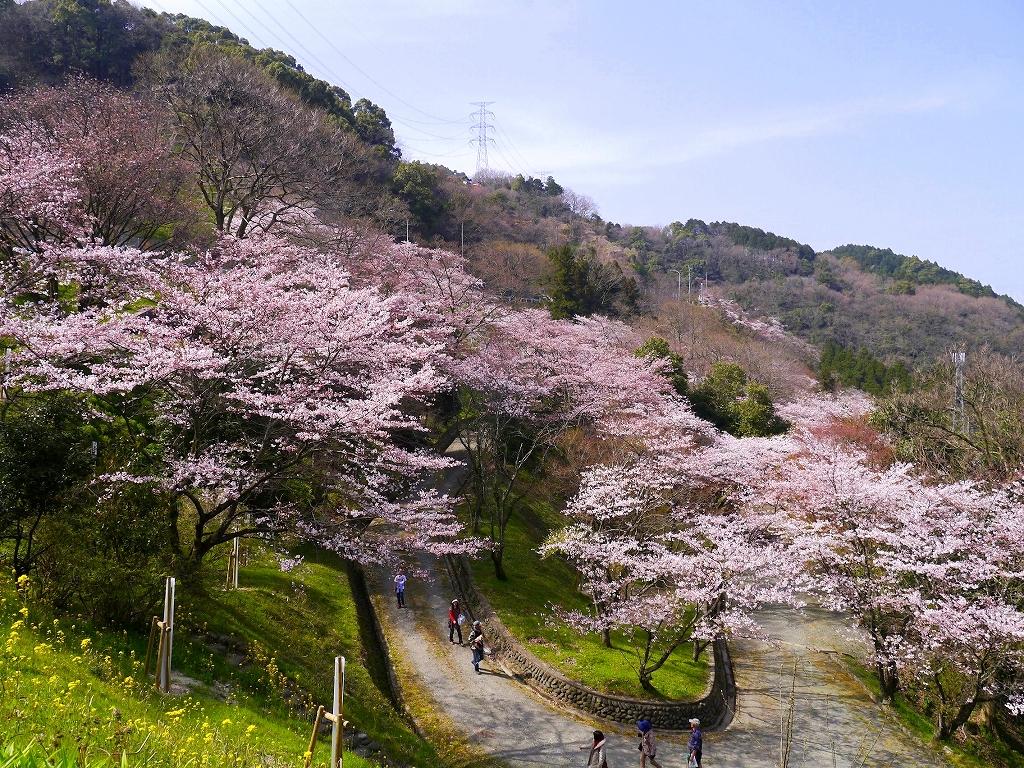 八木山展望公園-1