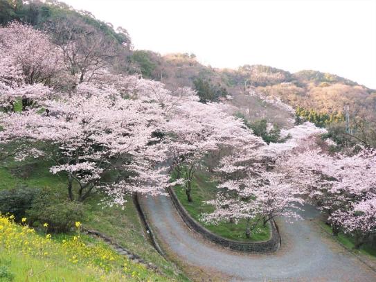 八木山展望公園-3