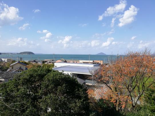 鎮懐石八幡宮の桜（糸島市）-2