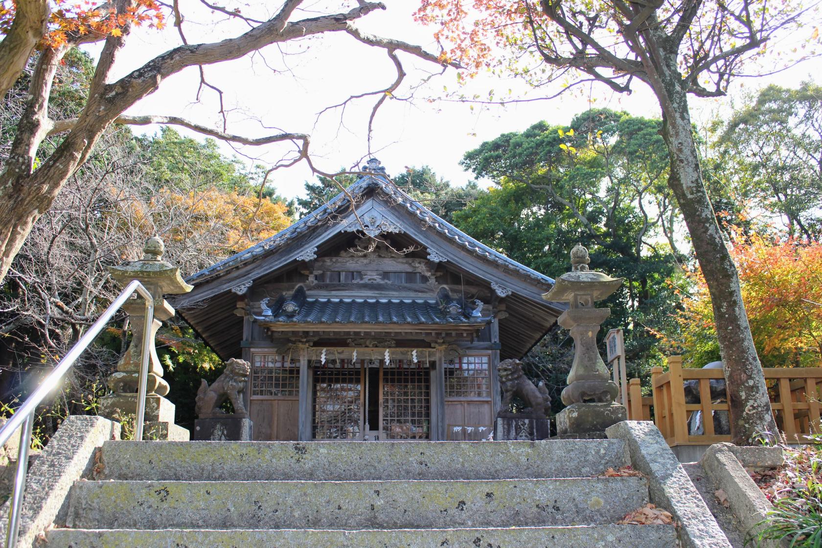 鎮懐石八幡宮の桜（糸島市）-1