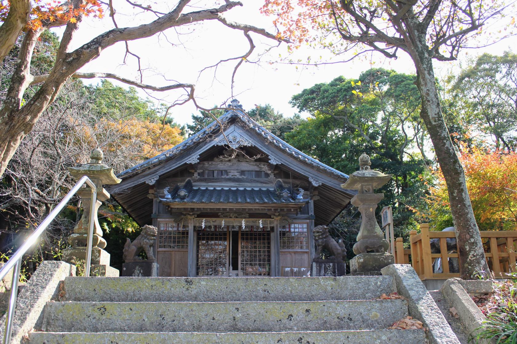 鎮懐石八幡宮の桜【糸島市】-1