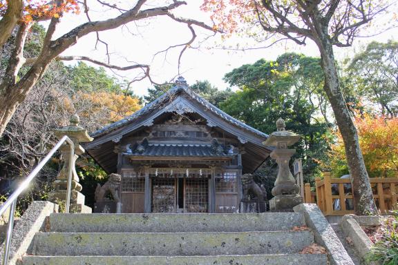 鎮懐石八幡宮の桜（糸島市）-1