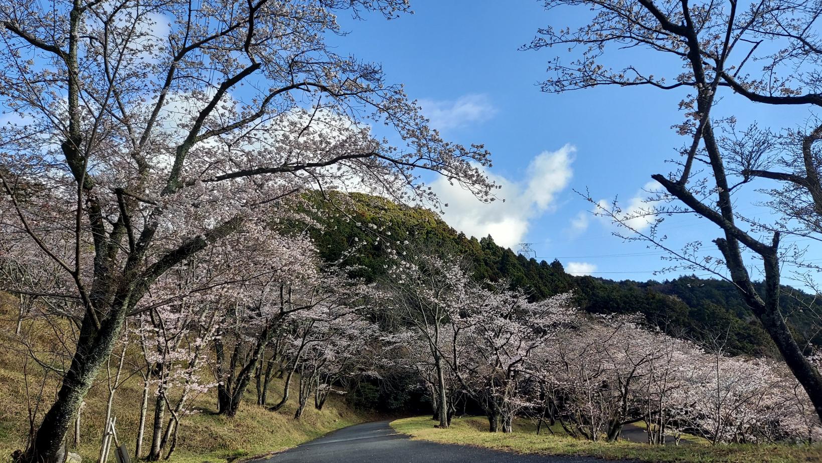 仲哀公園