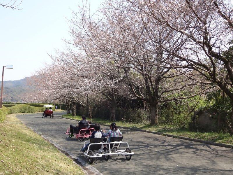 久留米サイクルファミリー パーク さくらまつり2025-1