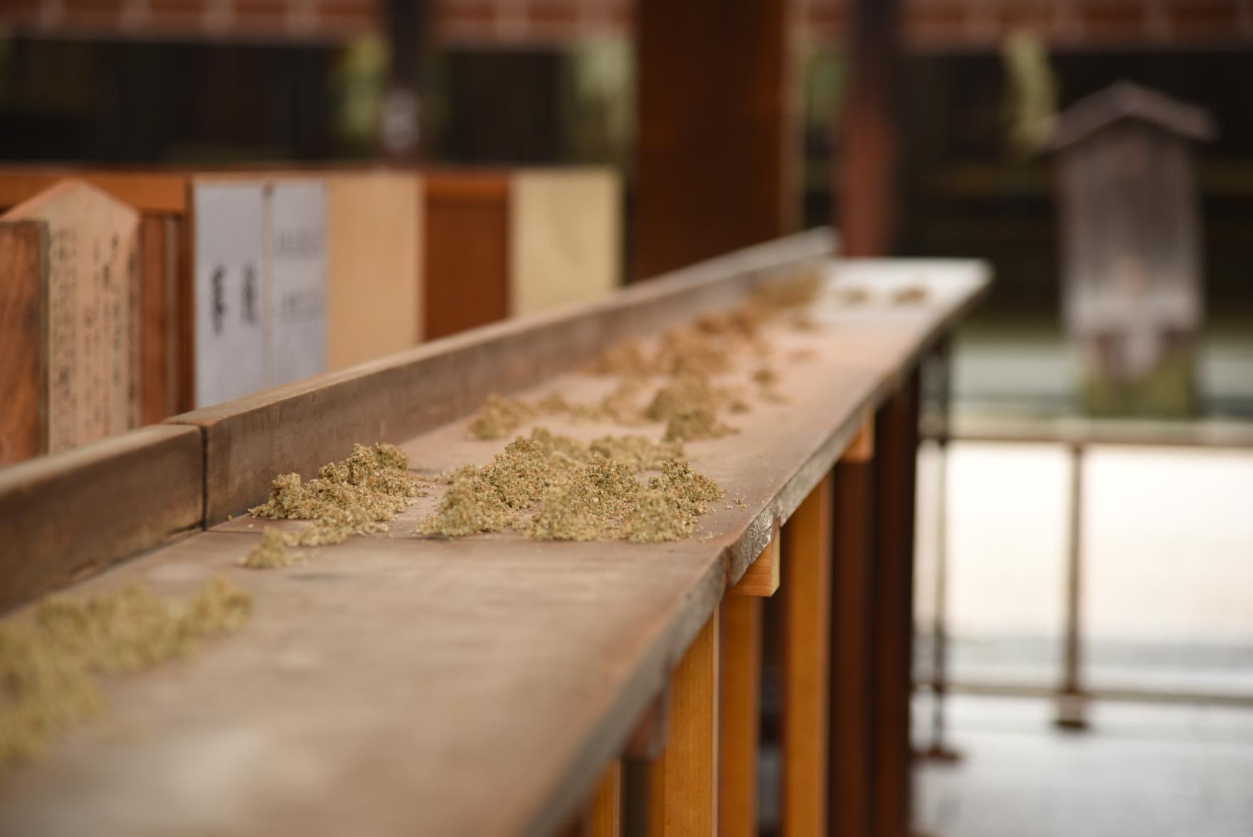 【筥崎宮】春季社日祭・お潮井取り-1