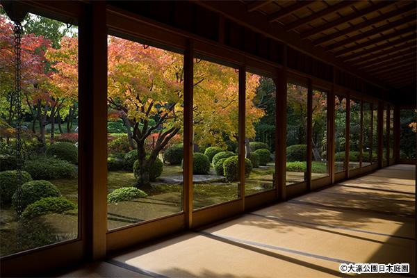 Japanese Garden at Ohori Park-3
