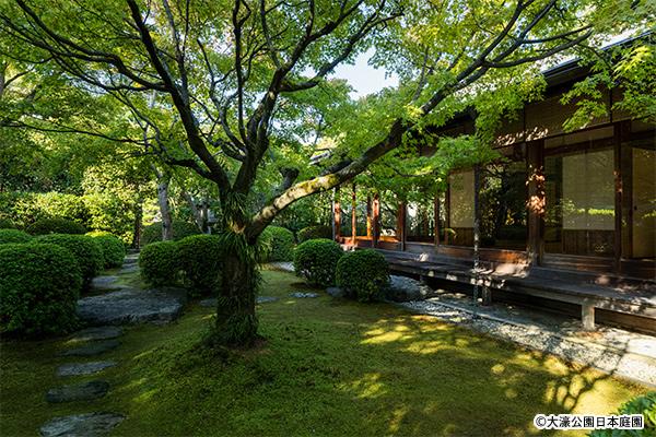 Japanese Garden at Ohori Park-4