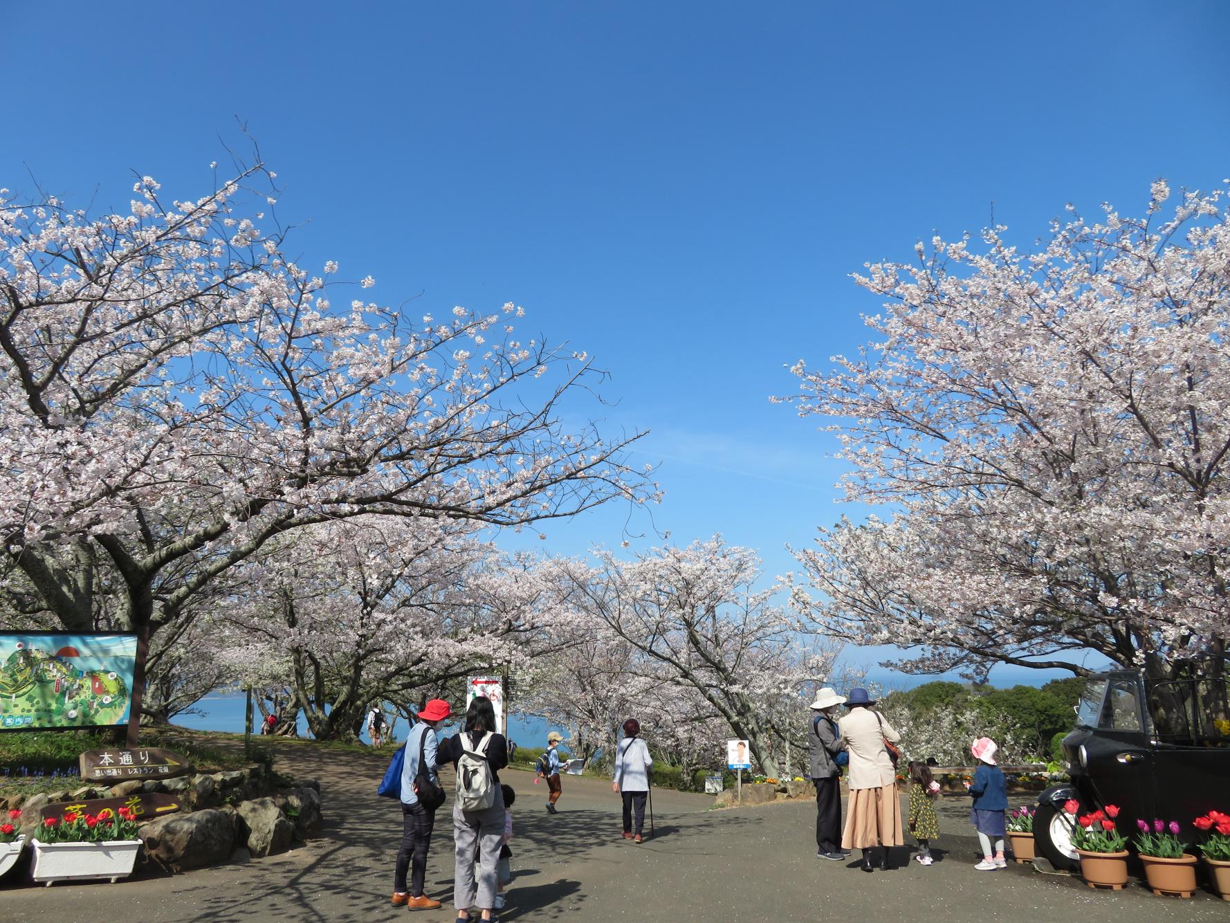 能古岛海岛公园-6