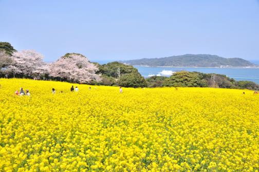 能古岛海岛公园-2