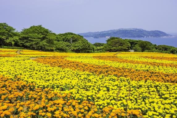 Nokonoshima Island Park-8