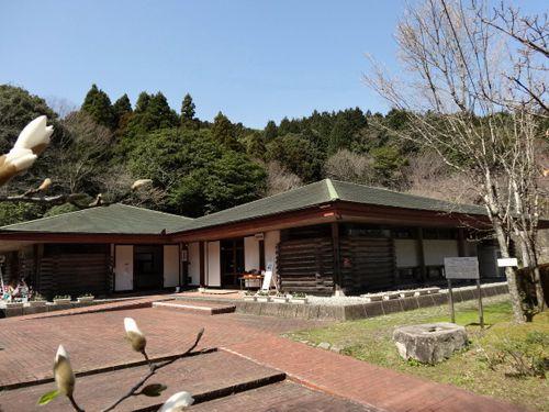 四王寺県民の森（ワンヘルスの森）-1