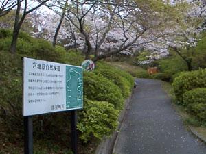 宮地嶽自然歩道