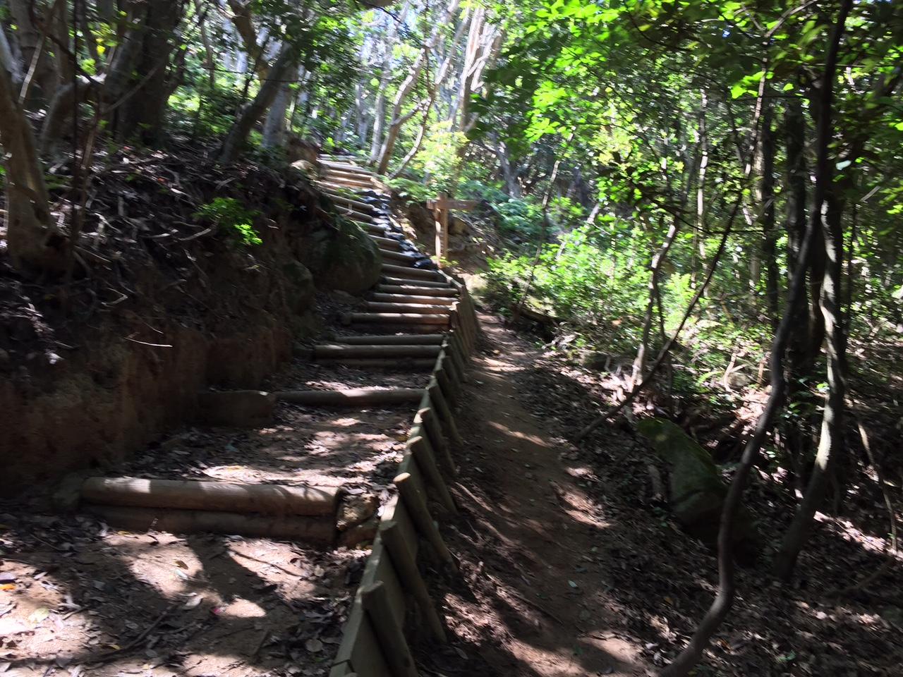 立石山自然歩道-1