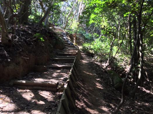 立石山自然歩道-0