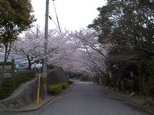 大峰山自然歩道