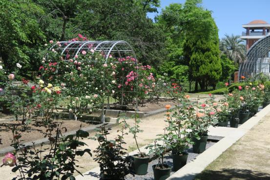 花畑園芸公園-1