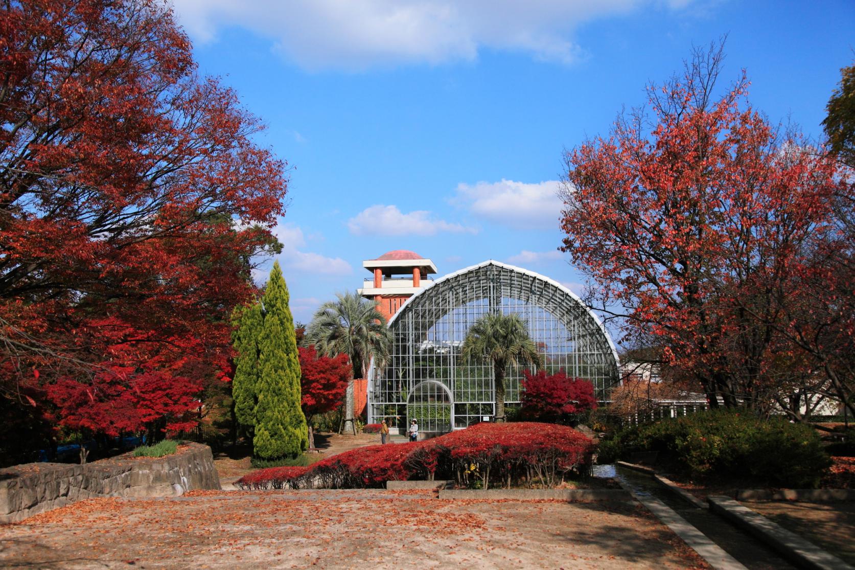 花畑園芸公園-1