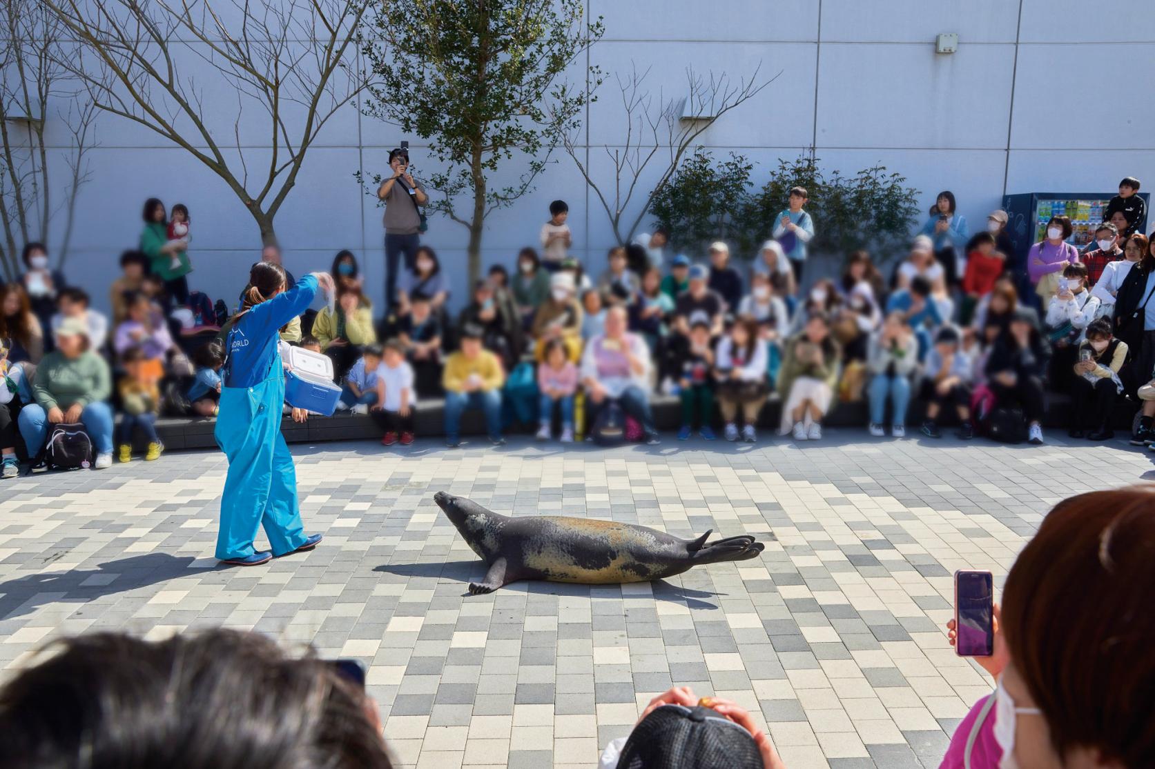 海洋世界海中道-3