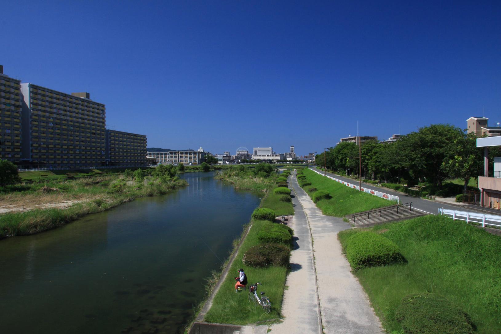 室見川河畔サイクリングロード-1