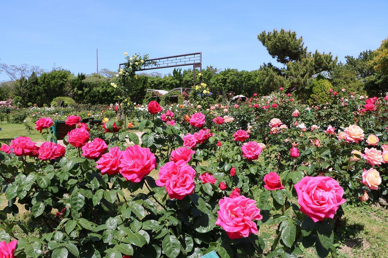 海中道海濱公園