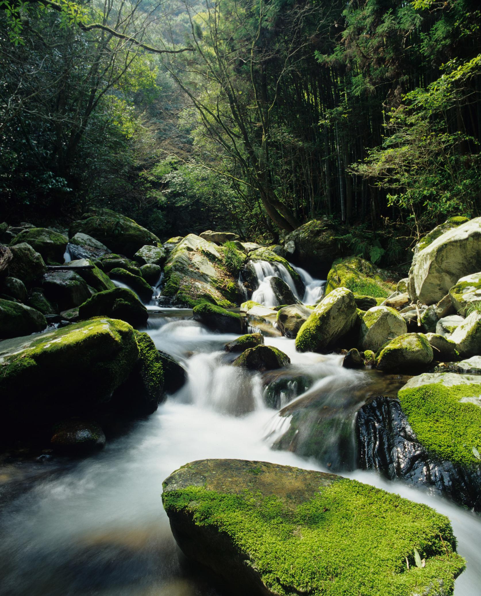 野河内渓谷-1